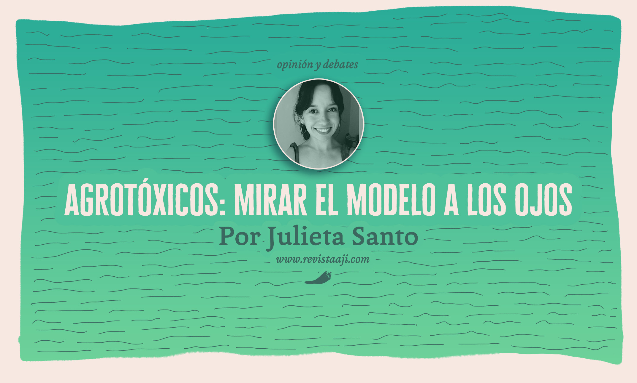 Agrotóxicos: mirar el modelo a los ojos