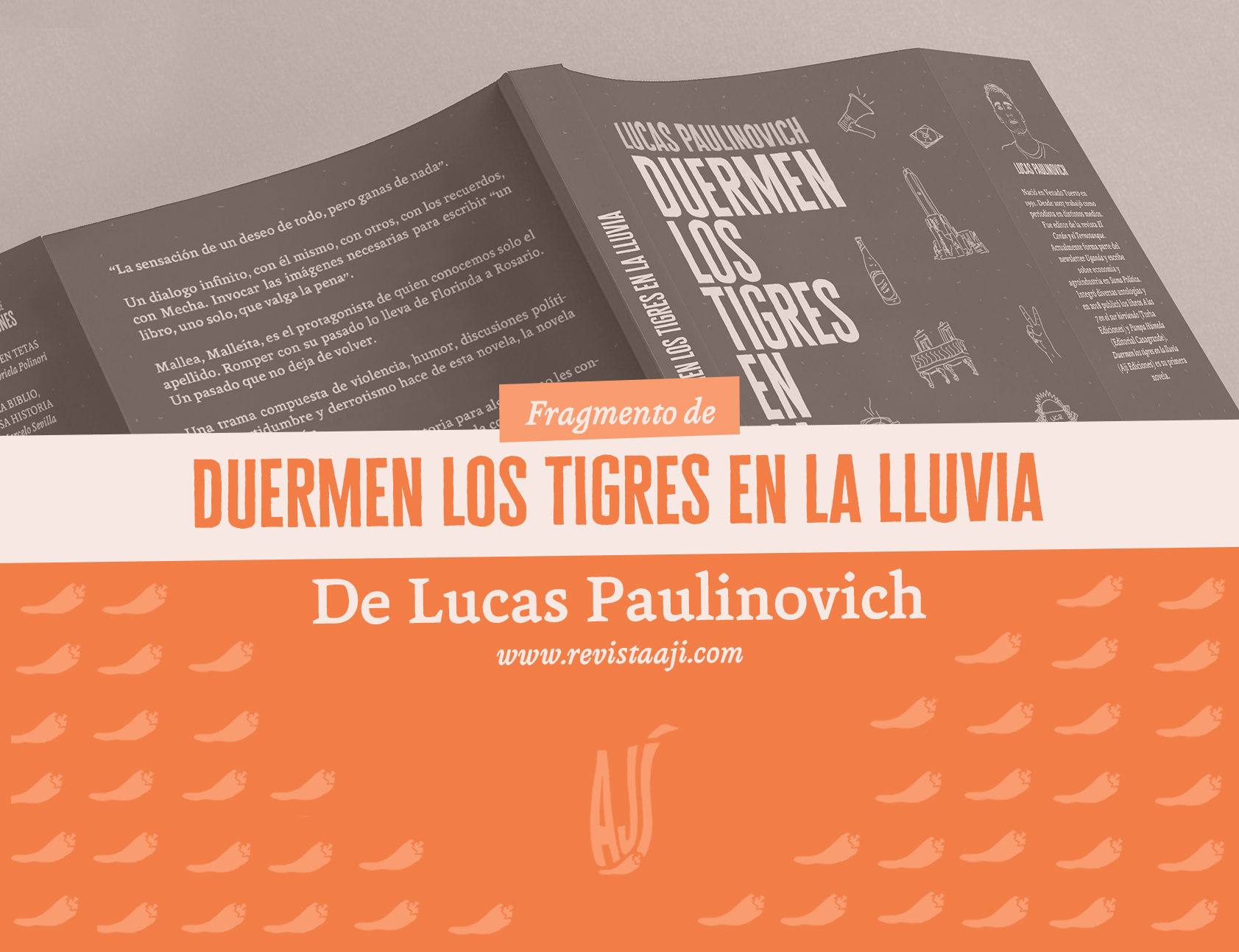 Duermen los tigres en la lluvia (fragmento)