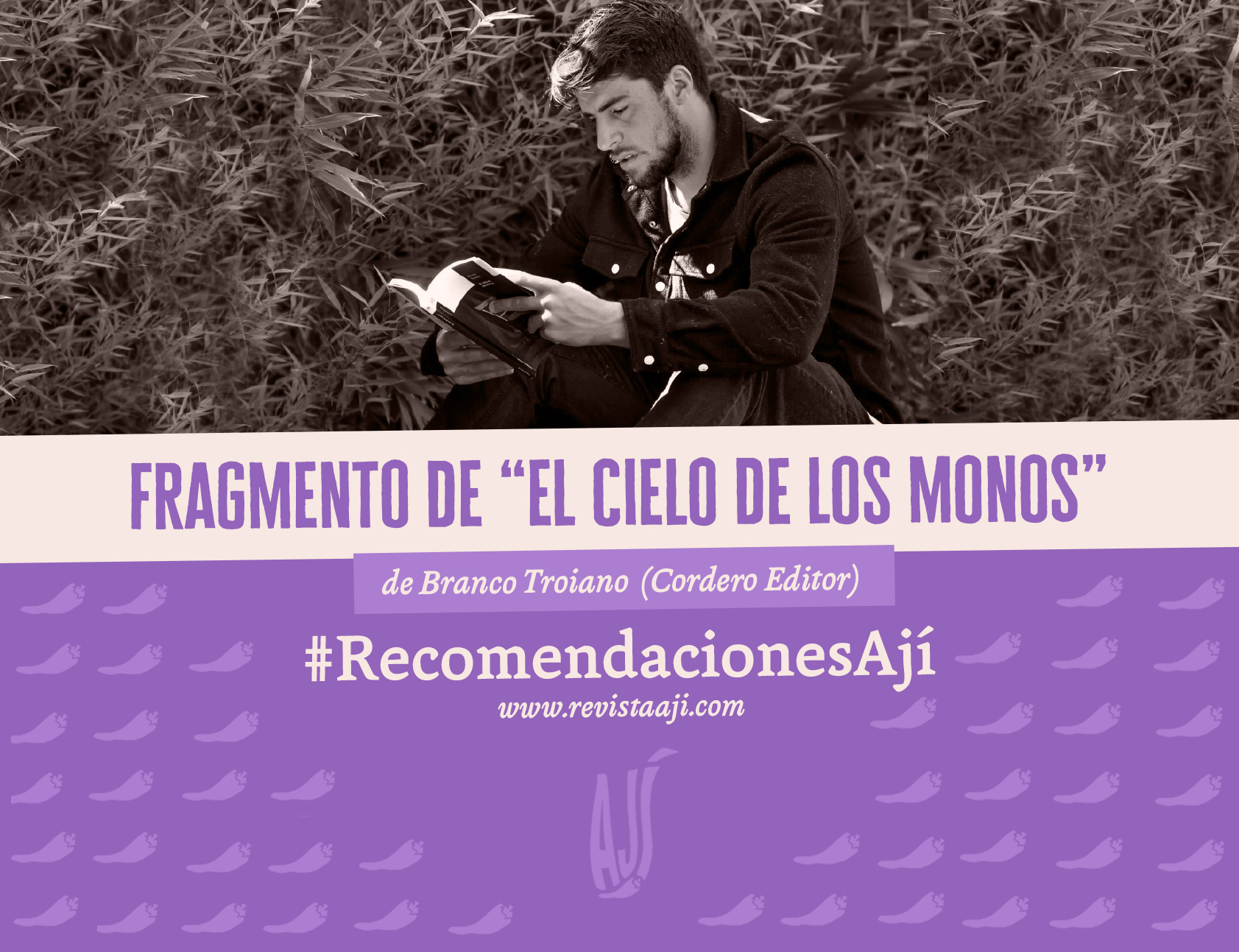 El cielo de los monos