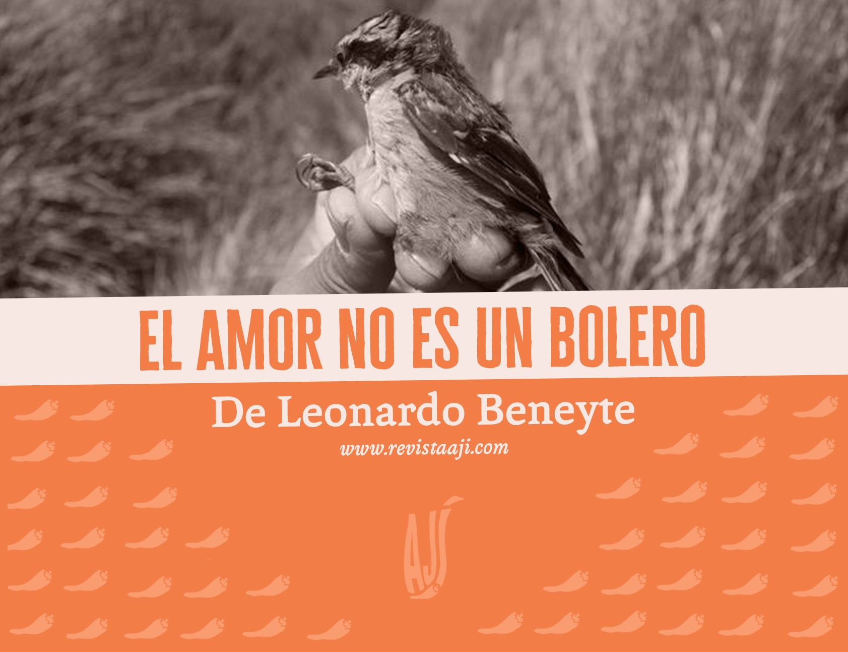 El amor no es un bolero