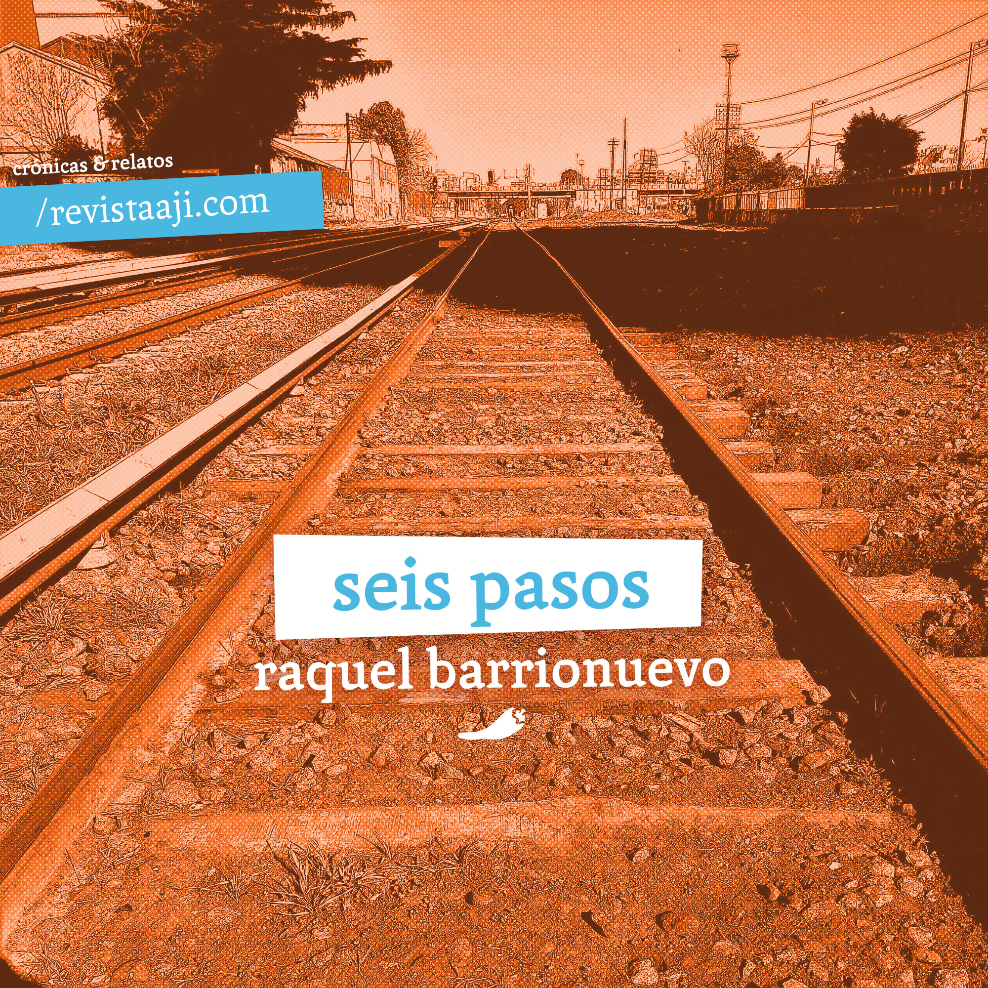 Seis pasos