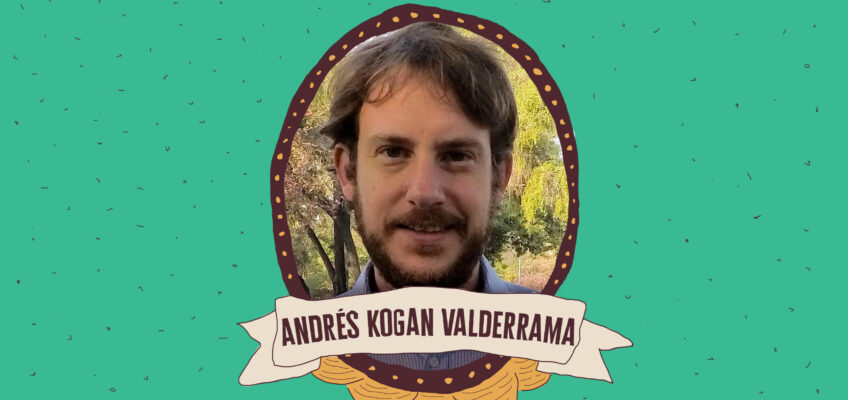 andrés kogan valderrama / movimientos sociales por boric y la nueva constitución
