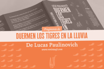 duermen los tigres en la lluvia (fragmento) / lucas paulinovich