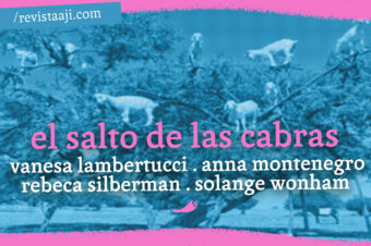 el salto de las cabras / vanesa lambertucci, anna montenegro, rebeca silberman y solange wonham
