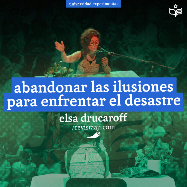 abandonar las ilusiones para enfrentar el desastre / elsa drucaroff