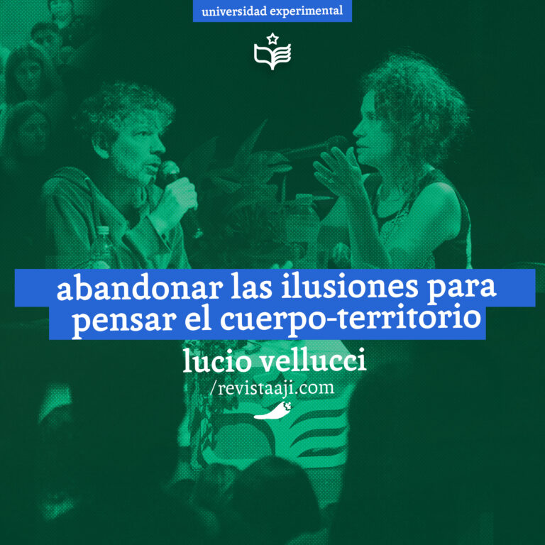 abandonar las ilusiones para pensar el cuerpo-territorio / lucio vellucci