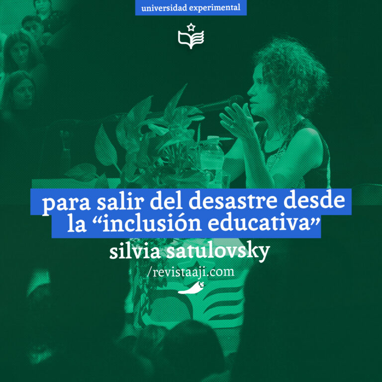 para salir del desastre desde la «inclusión educativa» / silvia satulovsky
