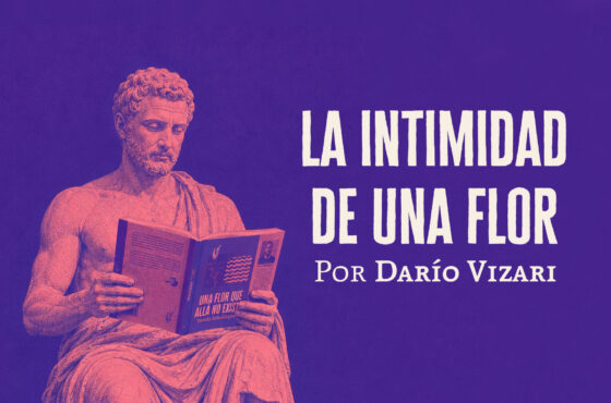 La intimidad de Una flor │ Dario Vizari
