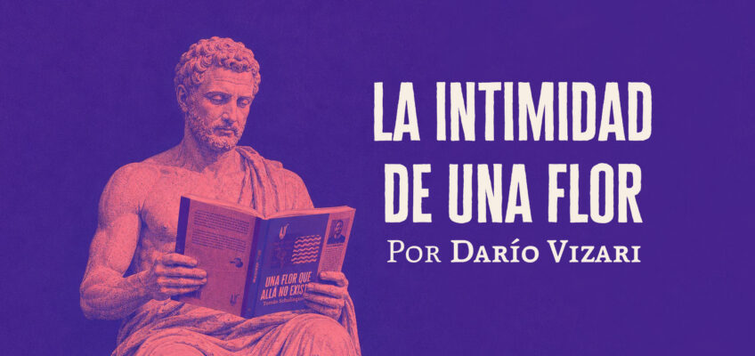 La intimidad de Una flor │ Dario Vizari